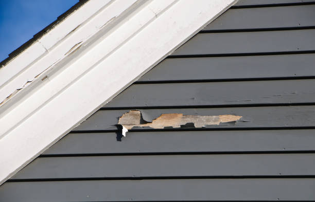 Best Vinyl Siding Installation  in Tanque Verde, AZ